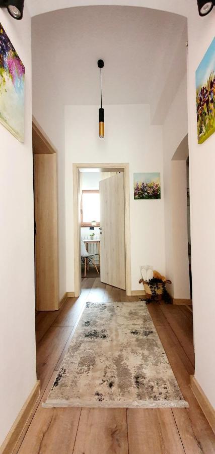 בראשוב Art Studio מראה חיצוני תמונה